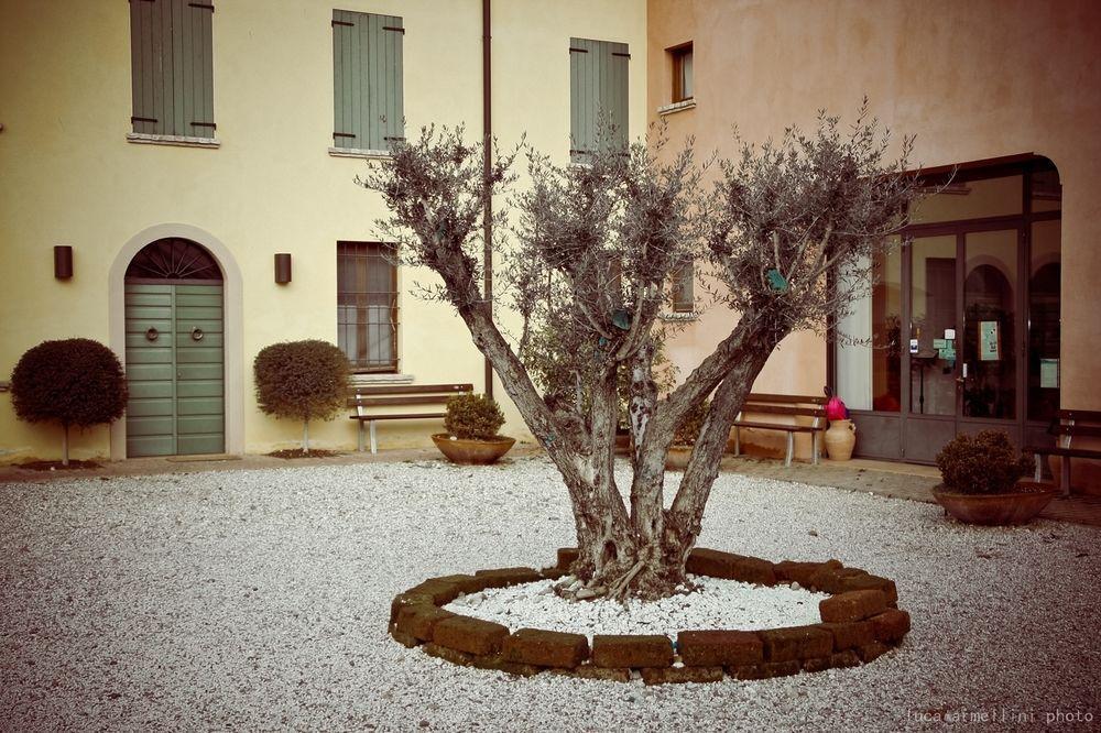 ヴォルタ・マントヴァーナAgriturismo Cascina Boschiアパートメント エクステリア 写真